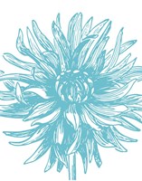 Florette II Fine Art Print