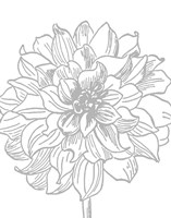 Florette III Fine Art Print