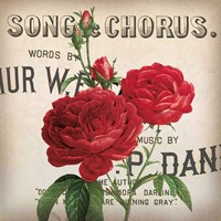 Scent of a Rose II Fine Art Print