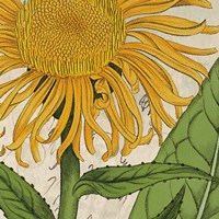 Joyful Bloom I Fine Art Print