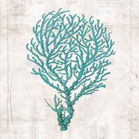 Under the Sea I Fine Art Print