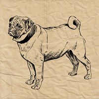 Pug Fine Art Print