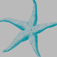 Sea Stars II Fine Art Print