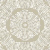 Kaleidoscope Duo IV Fine Art Print