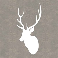 Buck I Fine Art Print