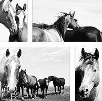 Wild Whispers I Fine Art Print