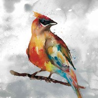 Cardinal Fine Art Print