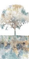 Water Tree I Fine Art Print