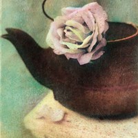 Nature's Blossoms II Fine Art Print