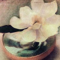 Nature's Blossoms III Fine Art Print