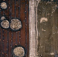 Imire Fine Art Print