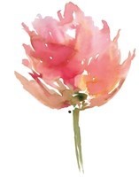 Melody I Fine Art Print