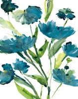 Blueberry Blooms  II Fine Art Print