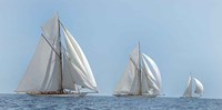 Three Sails Fine Art Print