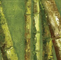 Bamboo Columbia I Fine Art Print