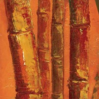 Bamboo Columbia III Fine Art Print