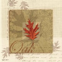 Oak Fine Art Print