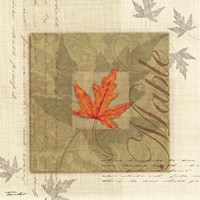 Maple Fine Art Print