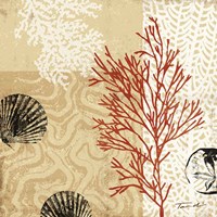 Coral Impressions II Fine Art Print