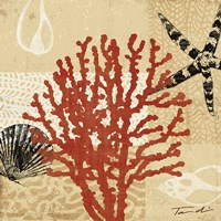 Coral Impressions III Fine Art Print