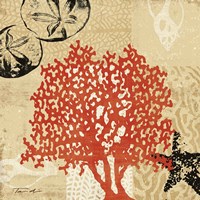 Coral Impressions IV Fine Art Print