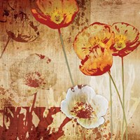 Poppy Heat I Fine Art Print