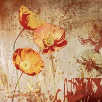 Poppy Heat II Fine Art Print