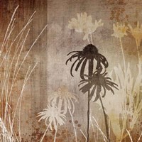 Floral A Fine Art Print