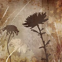 Floral B Fine Art Print