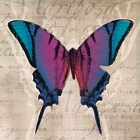 Butterflies IV Fine Art Print