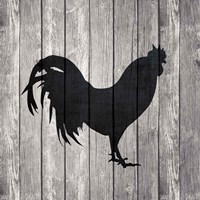 Barn Rooster Fine Art Print
