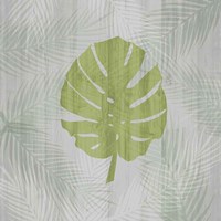 Palm Leaf Fine Art Print