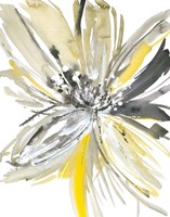 A Sunny Bloom Fine Art Print