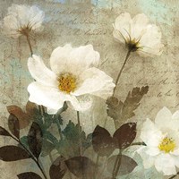 Anemone I Fine Art Print