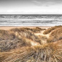 Beach Dunes Fine Art Print