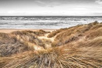 Beach Dunes Fine Art Print