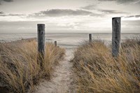 Beach Day Fine Art Print