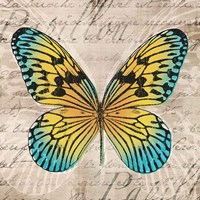 Butterflies I Fine Art Print