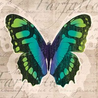 Butterflies II Fine Art Print
