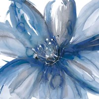 Blue Beauty I Fine Art Print