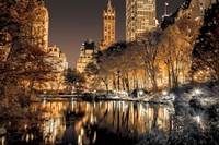 Central Park Glow Fine Art Print