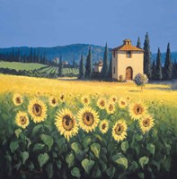 Golden Warmth Fine Art Print