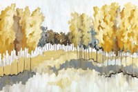 Grasslands Fine Art Print