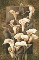 Golden Calla Lilies Fine Art Print