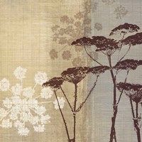 Lace II Fine Art Print