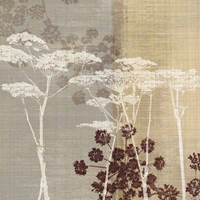 Lace I Fine Art Print