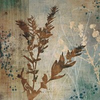 Organic Elements II Fine Art Print