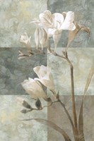 Memento II Fine Art Print