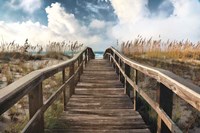 Path To Paradise Fine Art Print