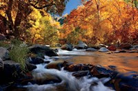 River Of Gold Fine Art Print